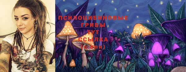 гидра Алзамай