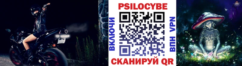 как найти наркотики  Звенигово  Галлюциногенные грибы Psilocybe 